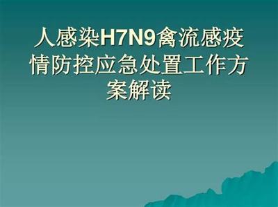 德陽(yáng)青年海外新征程 網(wǎng)絡(luò)游戲推廣與技術(shù)服務(wù)機(jī)遇探索